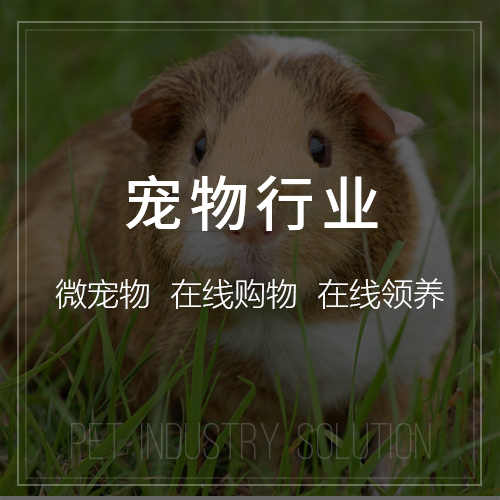 汕尾报修系统的多通道接入方案